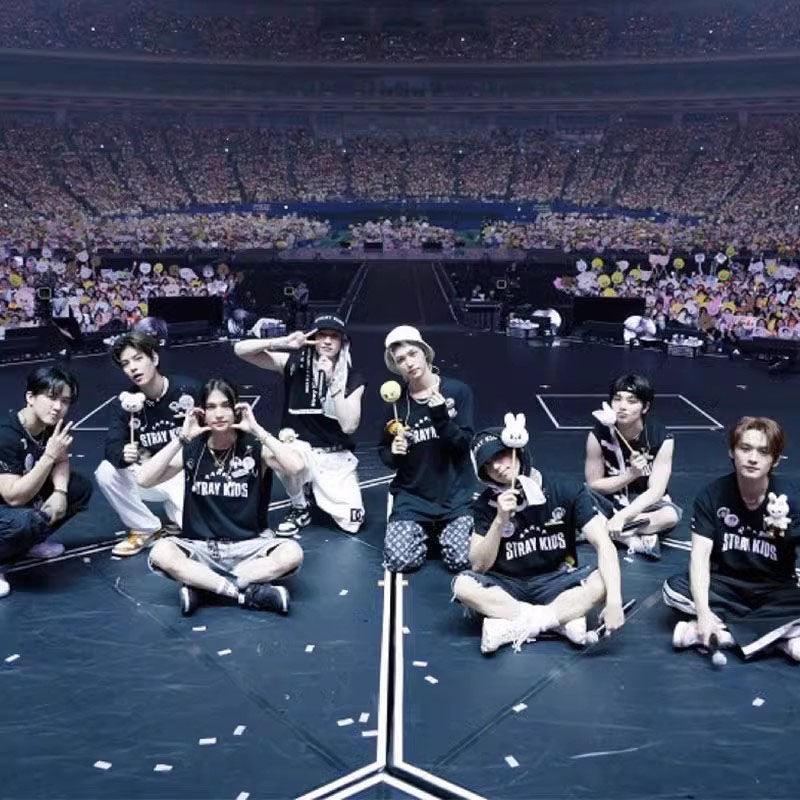 STRAY KIDS LANGARM T-SHIRT UND SHIRT 100% BAUMWOLLE