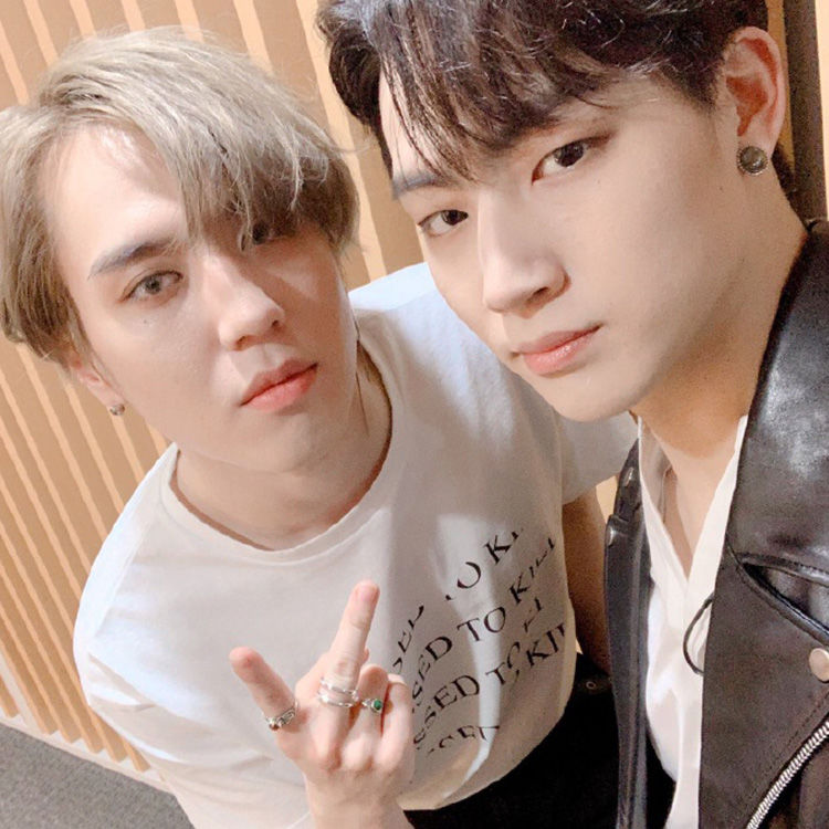 SHINEE "DRESSED TO KILL" T-SHIRT 100% BAUMWOLLE