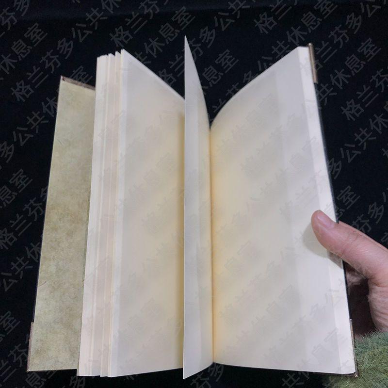 HARRY POTTER TOM RIDDLE'S TAGEBUCH