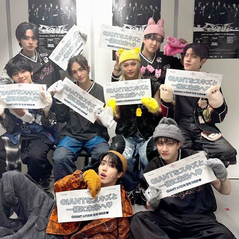 STRAY KIDS DOMINIEREN TOUR T-SHIRTS 100% BAUMWOLLE