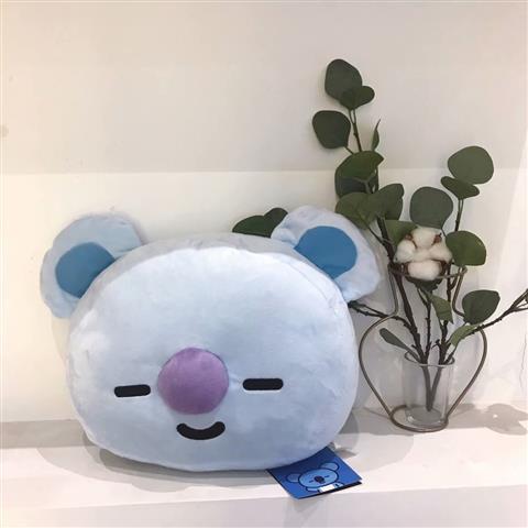 BT21 BTS ALLE CHARAKTERE KISSEN 35CM