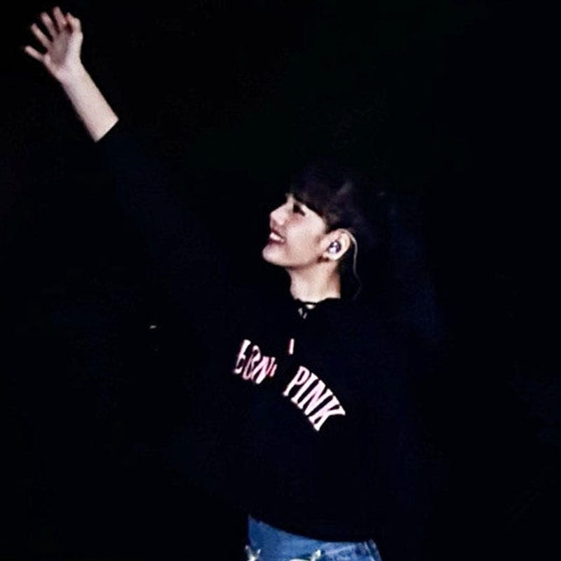 BLACKPINK BORN PINK CROPPED HOODIE